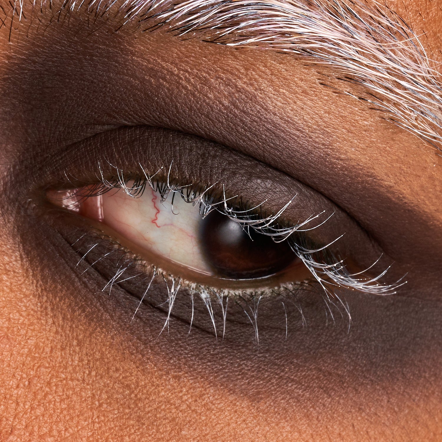 Blackthorn - Eyeshadow