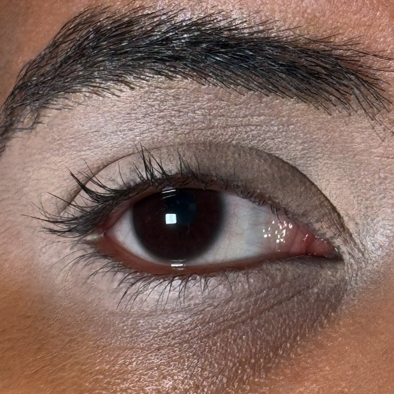 Fantasma - Eyeshadow