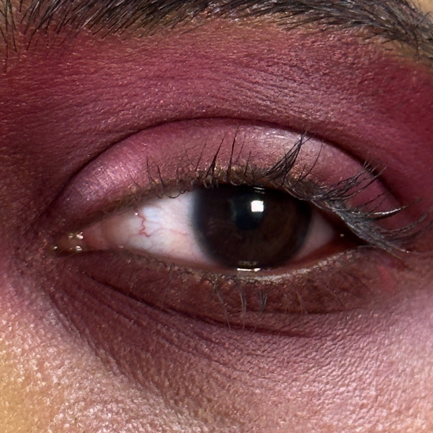 Velvet Thorns - Eyeshadow