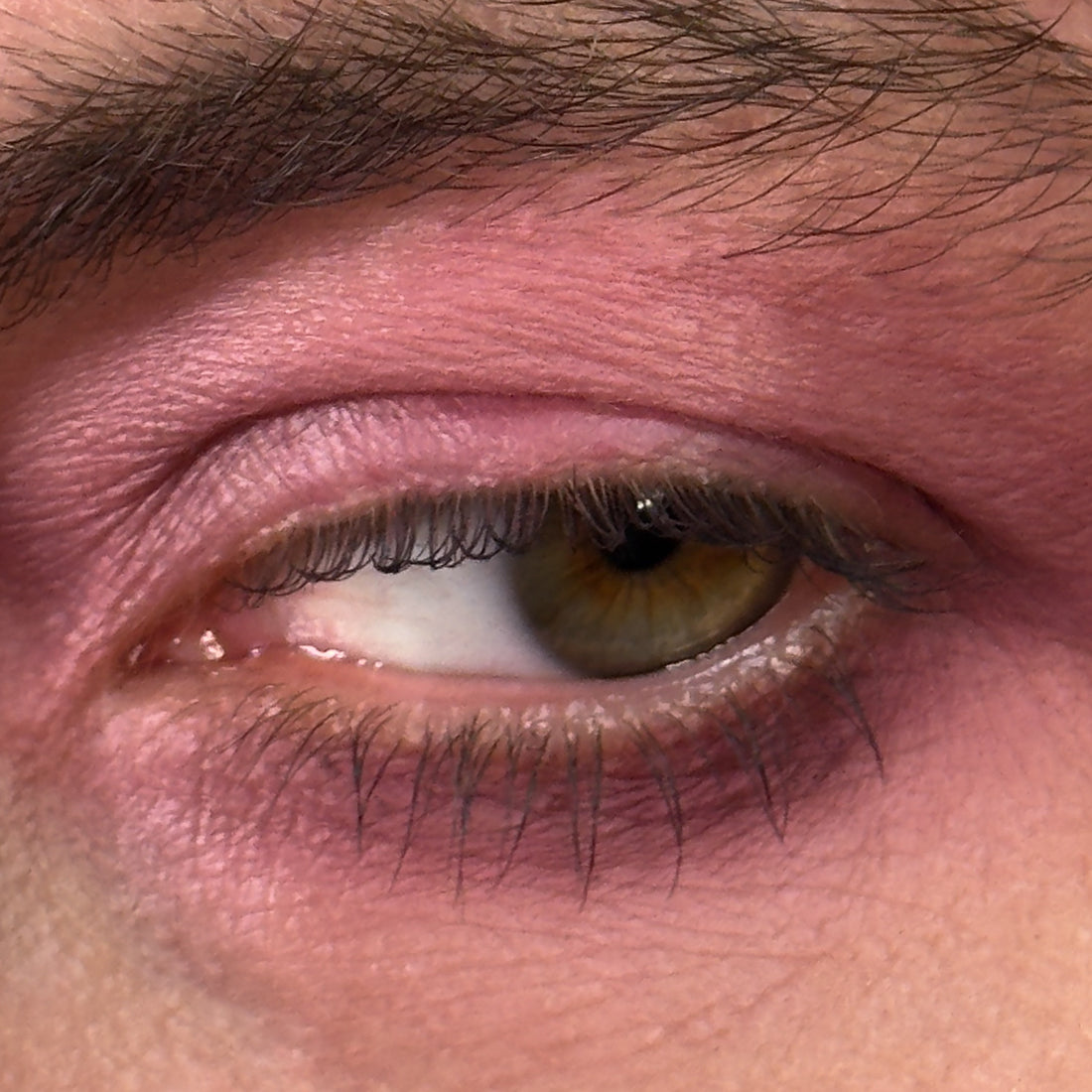 Wilted Roses - Eyeshadow
