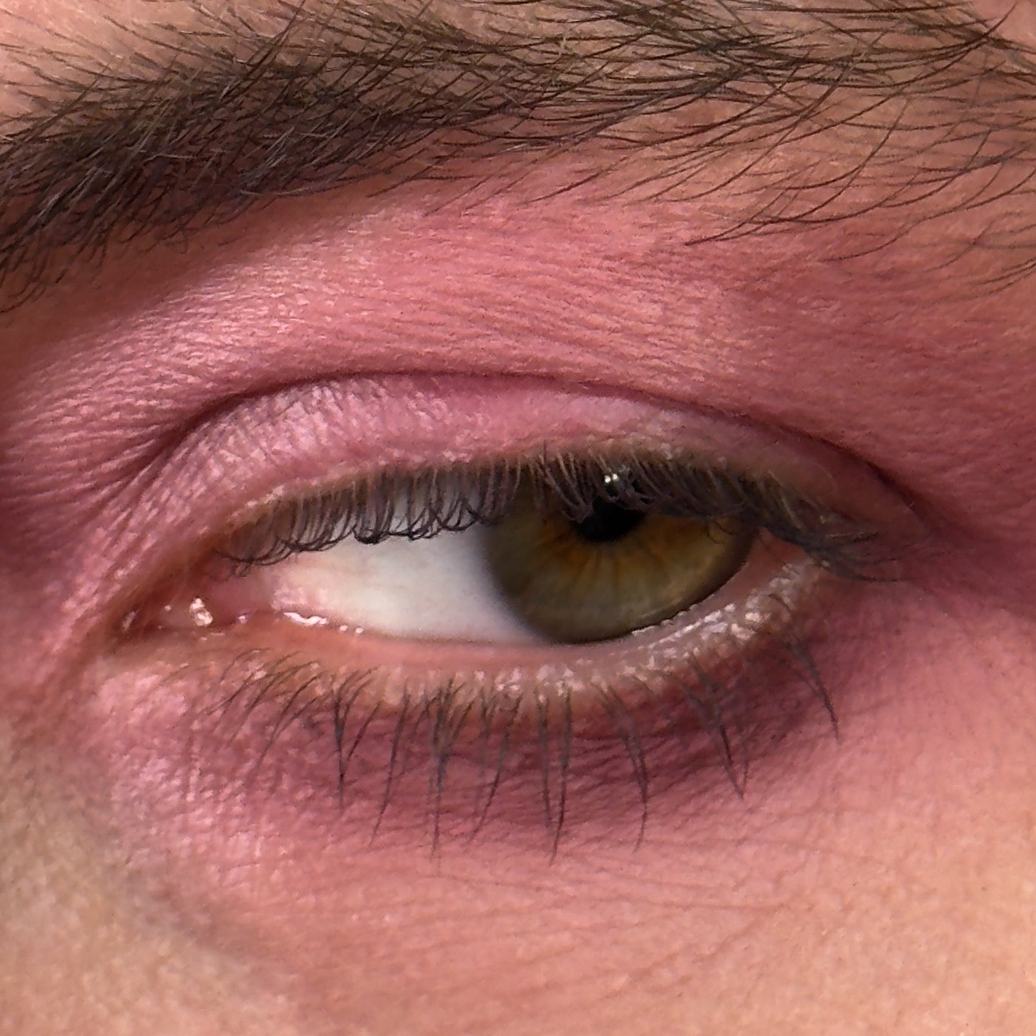 Wilted Roses - Eyeshadow