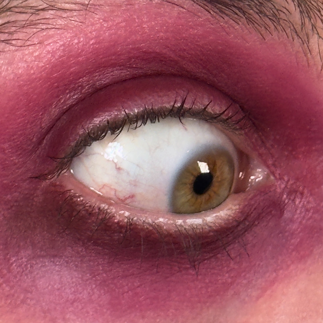 Velvet Thorns - Eyeshadow