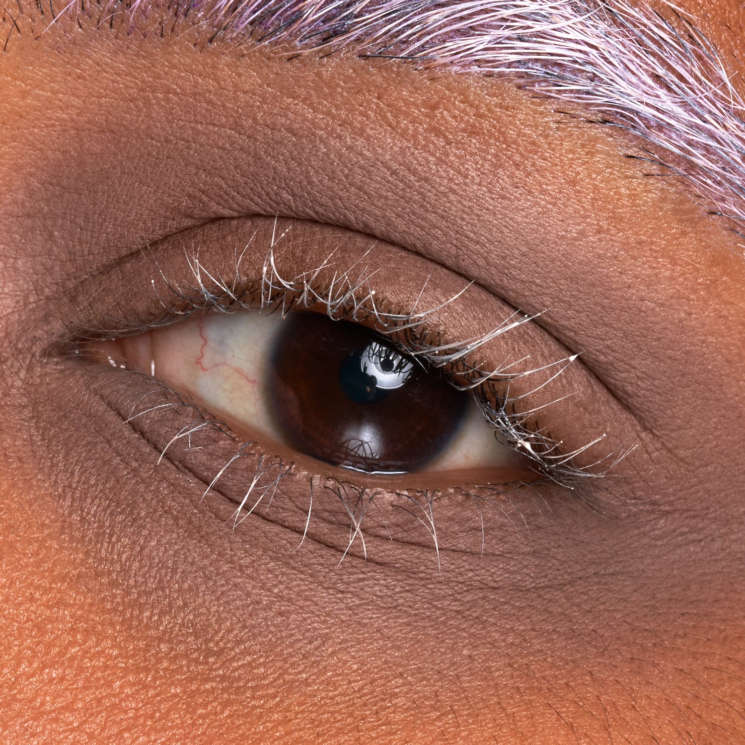 Ephemeral - Eyeshadow